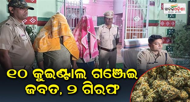 Khabar Odisha:Huge-quantities-of-Cannabis-were-transported-by-truck