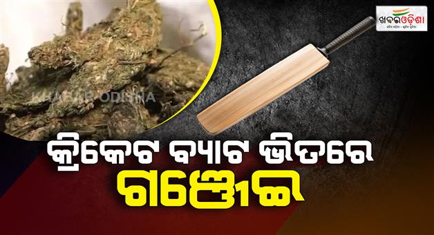Khabar Odisha:Huge-quantity-of-marijuana-seized-inside-cricket-bat