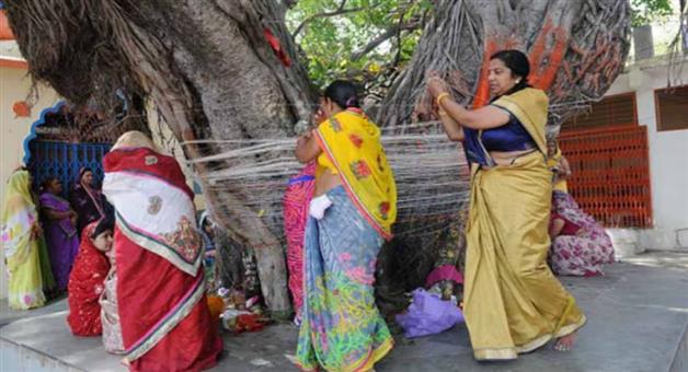 Khabar Odisha:If-any-devotees-was-tite-a-nut-on-kalpabut-tree-all-wishes-are-fulfilled