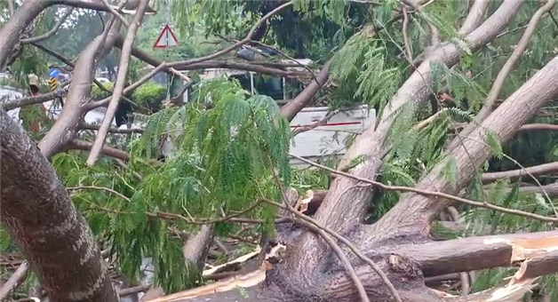 Khabar Odisha:Impact-of-Cyclone-Arnab-Situation-in-the-capital-in-a-bad-state