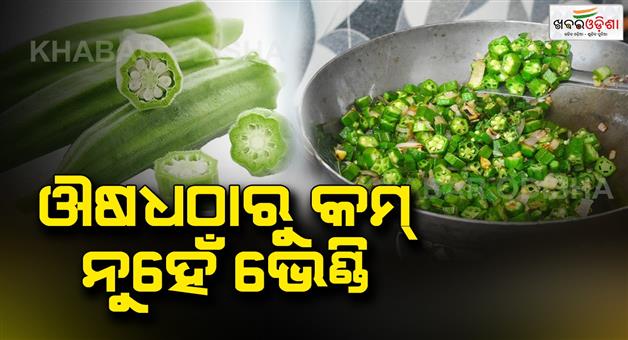Khabar Odisha:Include-Ladies-finger--a-diet-to-keep-your-body-healthy