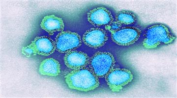 Khabar Odisha:Indias-First-H3N2-Influenza-Deaths-1-Each-In-Haryana-Karnataka