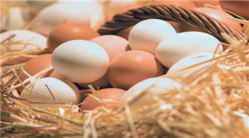 Khabar Odisha:India-china-or-us-who-is-the-Top-egg-producer-of-egg-globally-export-details