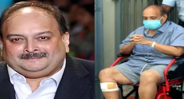 Khabar Odisha:India-gives-detailed-report-to-Belgium-on-which-jail-Mehul-Choksi-will-stay-after-extradition