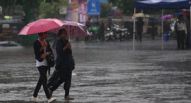 Khabar Odisha:Kalabeishakhi-has-brought-peace-from-the-heavy-rain