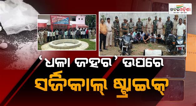 Khabar Odisha:Kandhamal-Police-Bust-Major-Drug-Syndicate-Kingpin-Among-11-Arrested