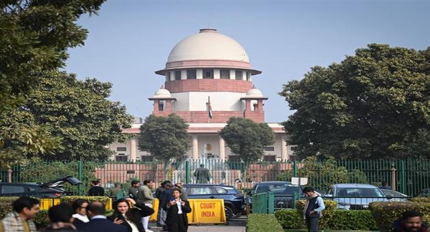 Khabar Odisha:Kapil-Sibal-demands-sterilization-of-stray-dog-​​in-Supreme-Court-Judge-gives-this-reply