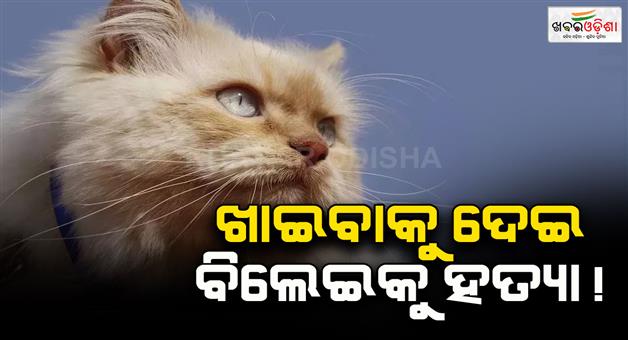 Khabar Odisha:Kerala-man-detained-for-killing-of-cat-and-posting-video-online