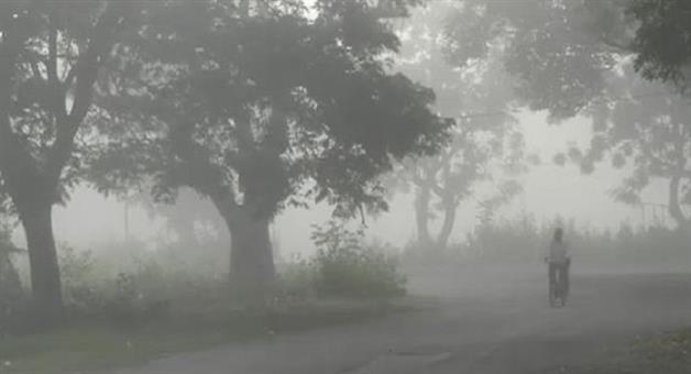 Khabar Odisha:Kohla-weather-continues-to-be-foggy-in-the-state