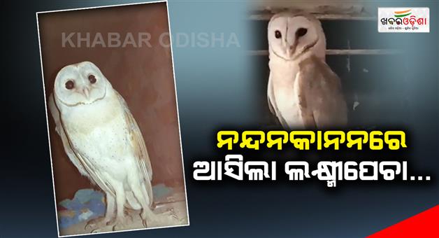 Khabar Odisha:Lakshmi-Pecha-came-to-Nandankanan