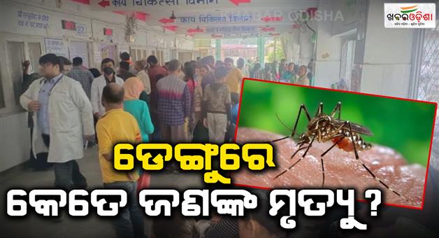 Khabar Odisha:Last-year-538-people-died-of-dengue-in-Delhi-MCD-reported-only-19-deaths