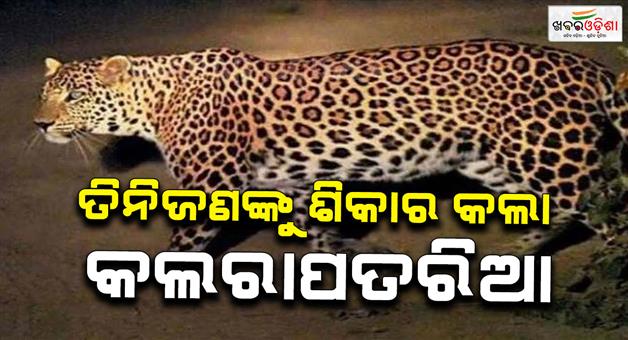 Khabar Odisha:Leopard-attack-5-year-old-killed-in-Coimbatore-Tamil-Nadu