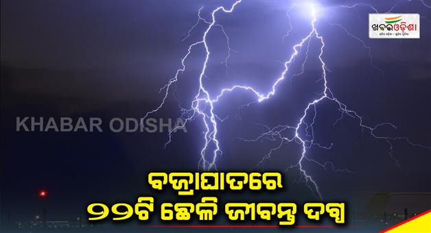 Khabar Odisha:Lighting--22-goats-dead