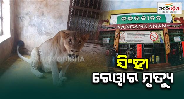 Khabar Odisha:Lion-rewa-died-at-the-age-eight-in-Nandankanan