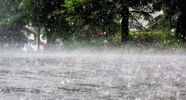 Khabar Odisha:Low-pressure-to-arrive-in-winter-Odisha-will-be-wet-again