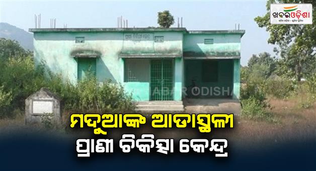 Khabar Odisha:Maduas-Aadajam-is-a-veterinary-center