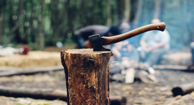 Khabar Odisha:Magistrate-sets-an-example-Sentenced-under-Forest-Protection