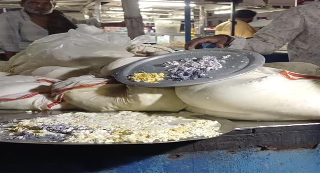 Khabar Odisha:Maida-and-detergent-are-being-mixed-into-paneer-from-Niali-Cuttack