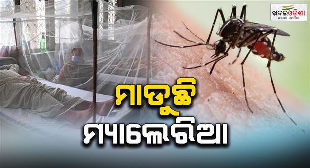 Khabar Odisha:Malaria-is-now-on-the-rise-in-the-state-it-is-spreading-to-one-district-after-another