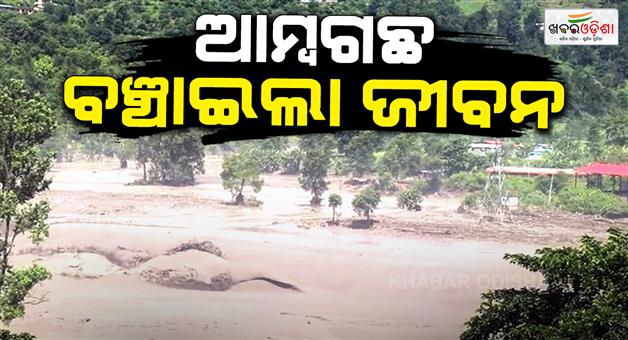 Khabar Odisha:Mango-tree-saves-Nepali-worker-life-amidst-floodwaters