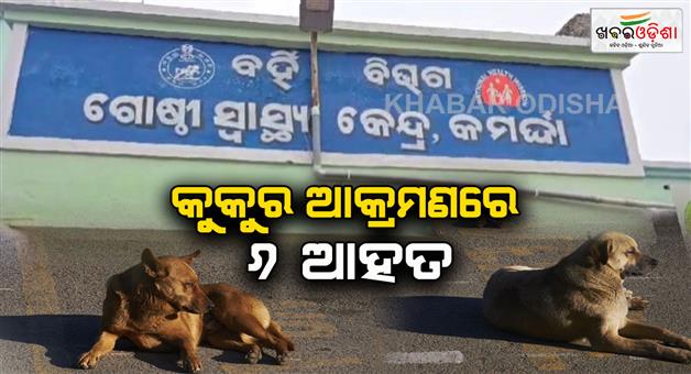 Khabar Odisha:Many-people-attacked-by-strais-dogs-in-bhogarai