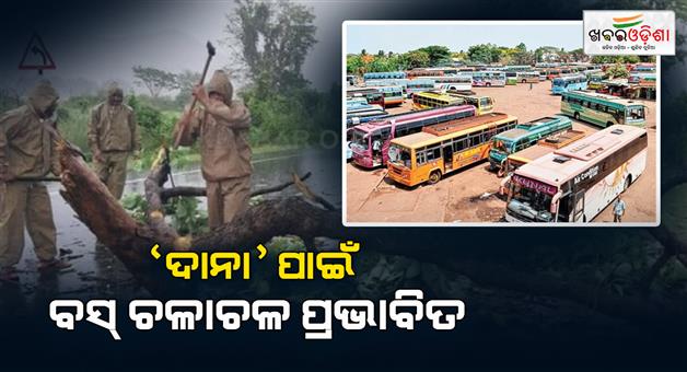 Khabar Odisha:Many-tree-are-bend-in-the-road-for-the-cyclone-dana