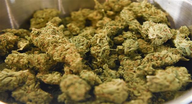 Khabar Odisha:Marijuana-seized-again-from-Biju-Patnaik-airport
