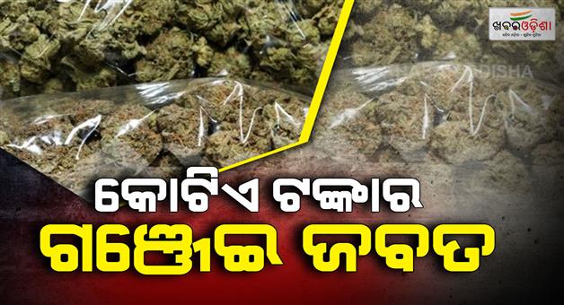 Khabar Odisha:Marijuana-worth-Rs-1-crore-seized-police-investigating