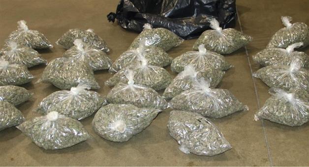 Khabar Odisha:Marijuana-worth-Rs-6-crore-seized