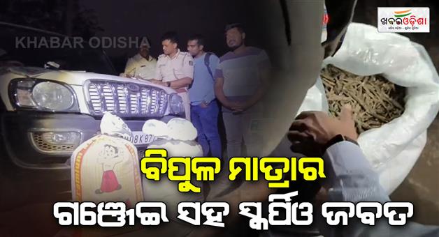 Khabar Odisha:Mariuana-illegal-supply-busted-by-Mayurbhanj-police