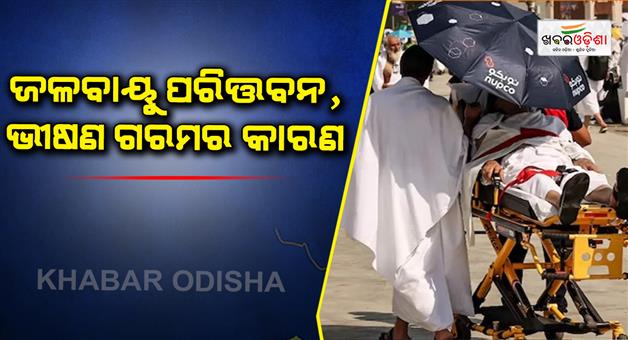 Khabar Odisha:Middle-East-Hajj-pilgrims-died-due-to-2-point-5-degree-temperature