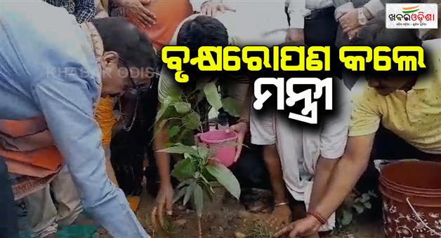 Khabar Odisha:Minister-suresh-pujari-plants-in-sambalpur