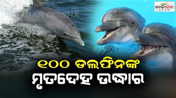 Khabar Odisha:More-than-100-dolphins-have-died-in-the-Amazon