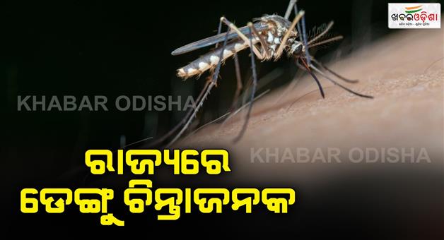 Khabar Odisha:More-than-1000-dengue-cases-are-diagnosed-every-day