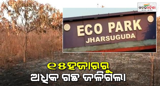 Khabar Odisha:More-than-15000-trees-burnt