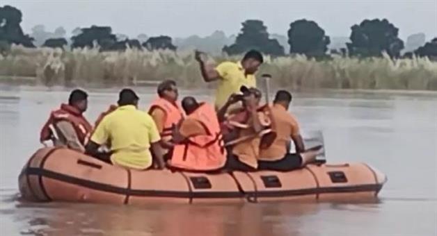 Khabar Odisha:More-than-15-cows-are-trapped-in-the-Mahanadi-path