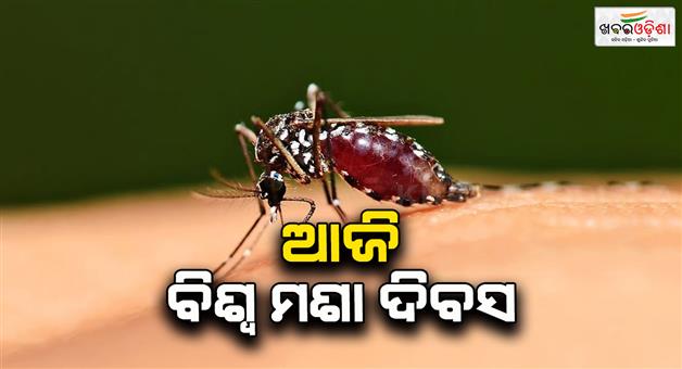 Khabar Odisha:Mosquitoes-are-on-the-rise-How-mosquitoes-spread-diseases