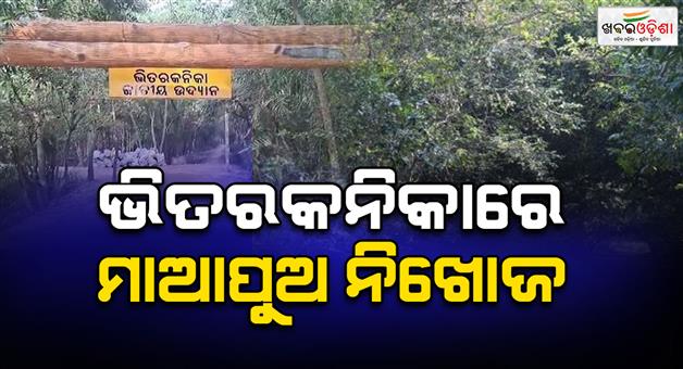 Khabar Odisha:Mother-in-law-missing-in-Bhitarkanika-forest-Forest-department-continues-search