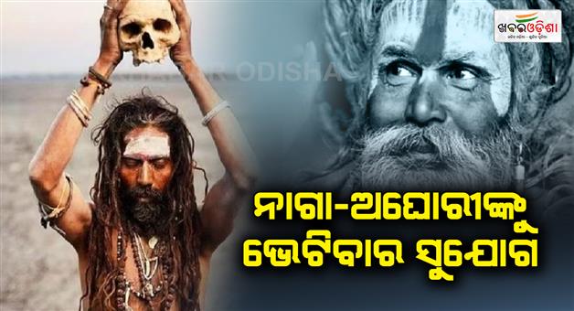 Khabar Odisha:Naga-Aghori-Kalpvasi-sadhu-reality-Mahakumbh-Akhara-walk-tour-package-online-booking