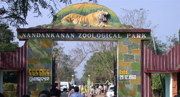 Khabar Odisha:Nandankanan-to-become-world-class-level-zoo
