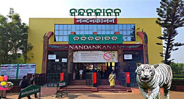 Khabar Odisha:Nandankanan-will-be-world-class-zoo-cost-120-crores