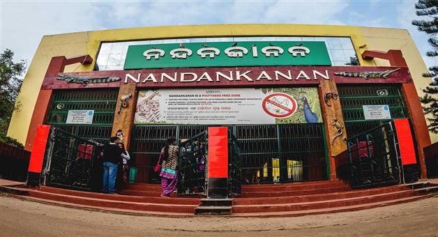 Khabar Odisha:New-animals-coming-soon-at-Nanndankana