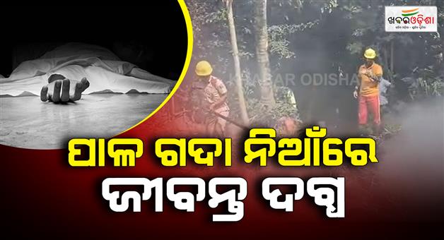 Khabar Odisha:Newlywed-Burnt-to-Death-in-Straw-Heap-Fire-Incident