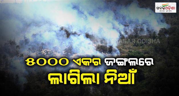 Khabar Odisha:Nilgiris-forest-fire-burns-5000-acres-Coimbatore-Kalakkad-Mundanthurai