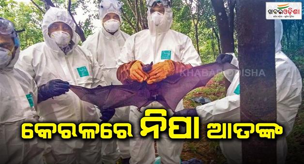 Khabar Odisha:Nipah-virus-has-created-panic-in-Kerala