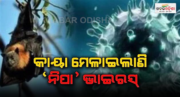 Khabar Odisha:Nipah-virus-scare-Kerala-on-alert-after-suspected-death-in-Palakkad