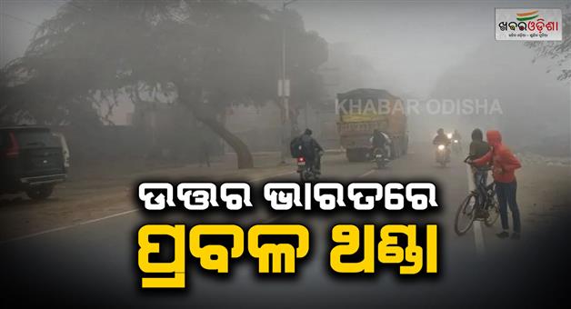 Khabar Odisha:North-India-cold-wave-IMD-warns-of-severe-chill-and-fog