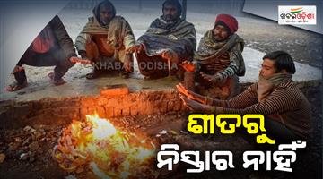 Khabar Odisha:North-India-winter-forecast-IMD-Haryana-Punjab-Kashmir