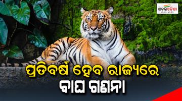 Khabar Odisha:Now-Tiger-census-will-be-held-every-year-in-odisha