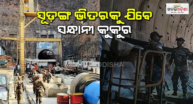 Khabar Odisha:Now-the-help-of-sniffer-dog-will-be-taken-in-rescuing-people-trapped-in-the-tunnel